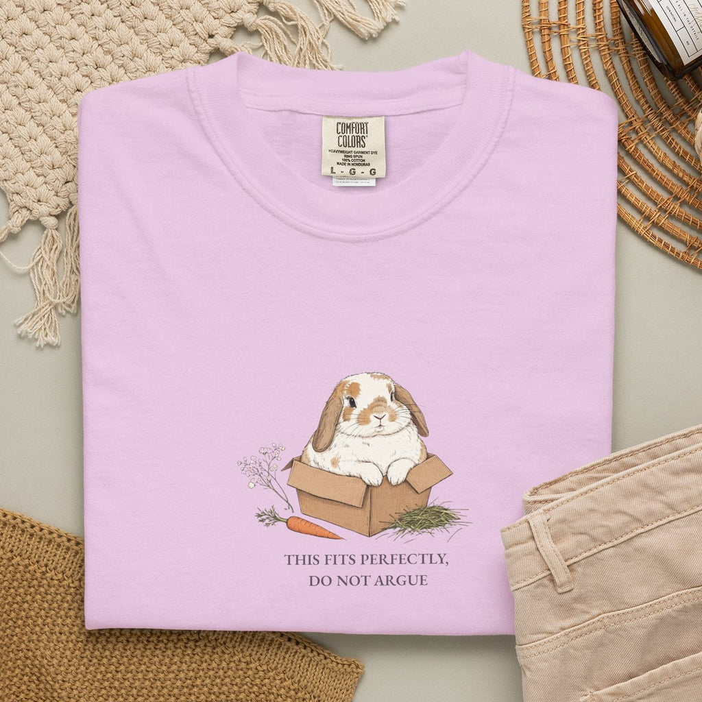 This Fits Perfectly, Do Not Argue - Comfort Tee