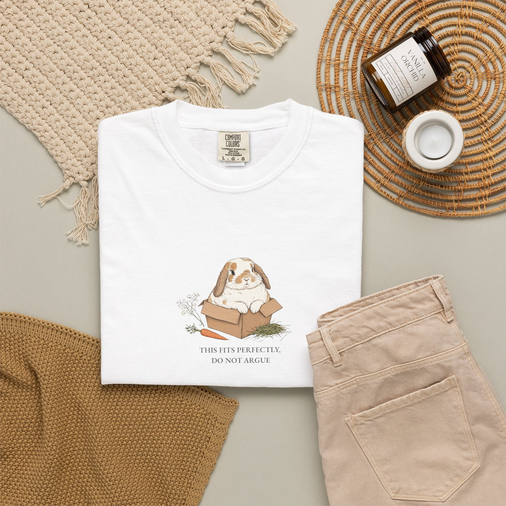 This Fits Perfectly, Do Not Argue - Comfort Tee