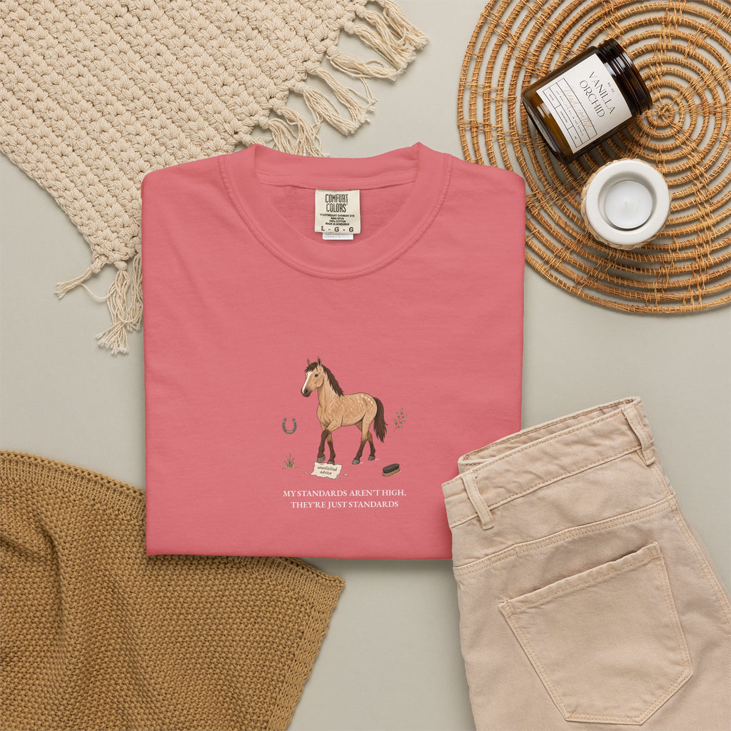 My Standards Aren't High, They're Just Standards - Comfort Tee