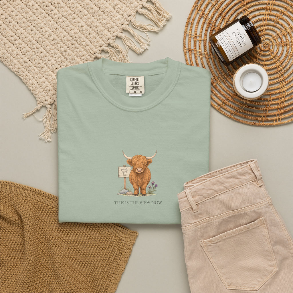 This Is The View Now - Comfort Tee