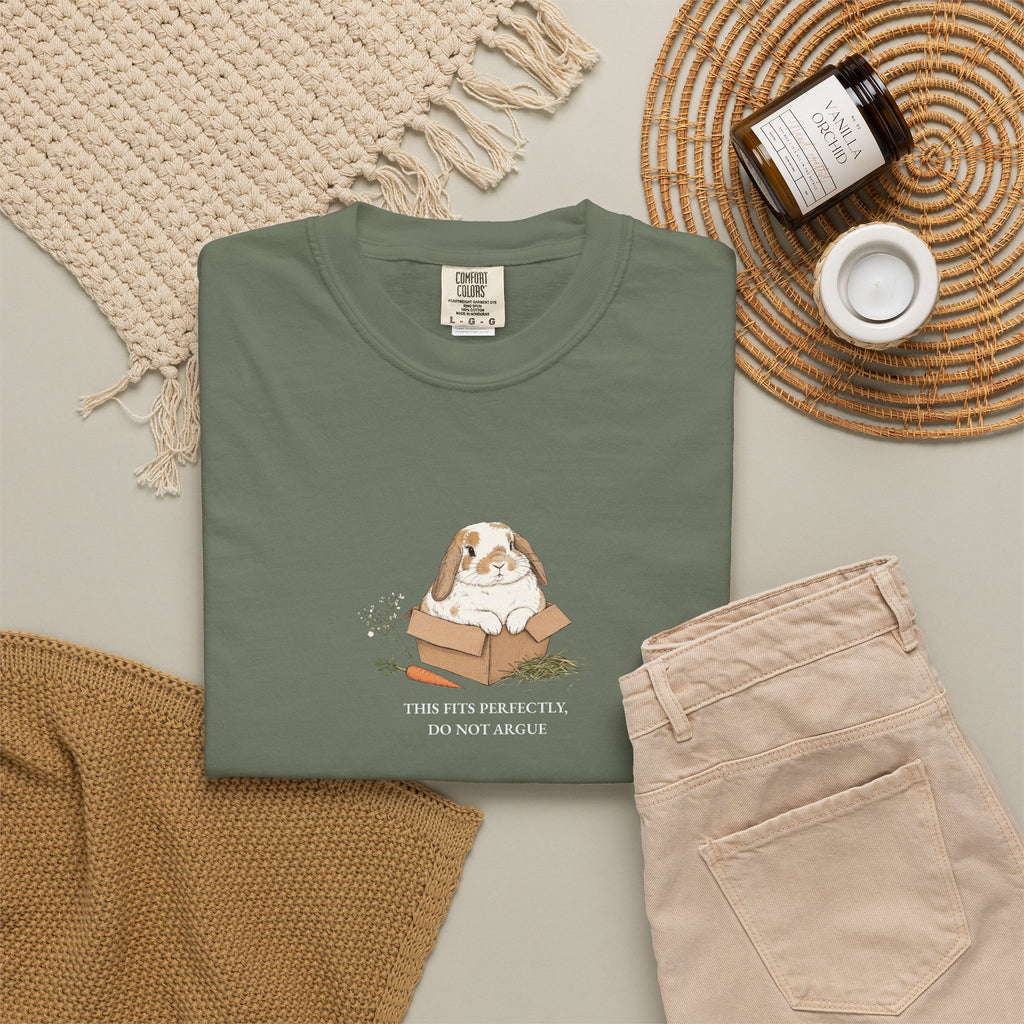 This Fits Perfectly, Do Not Argue - Comfort Tee