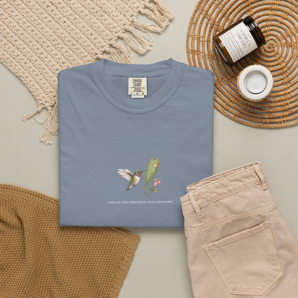 I Am One Text Away From A Full Meltdown - Comfort Tee