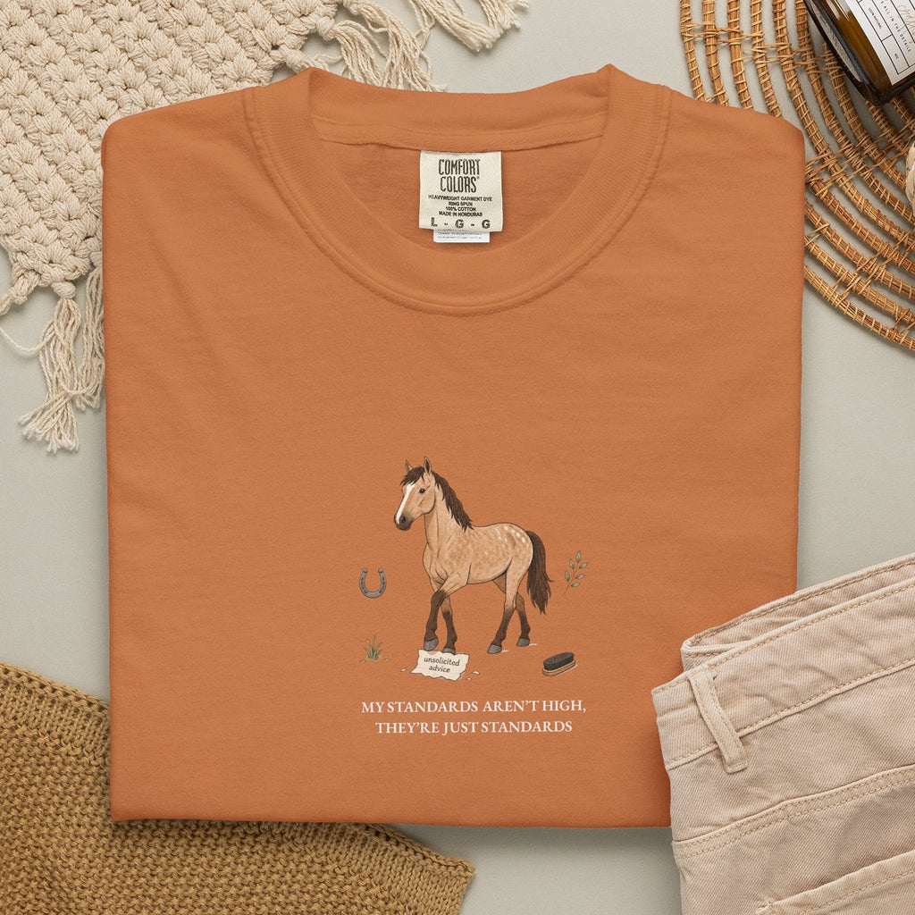 My Standards Aren't High, They're Just Standards - Comfort Tee