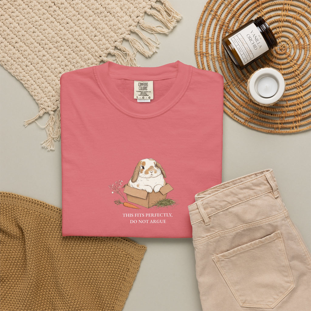 This Fits Perfectly, Do Not Argue - Comfort Tee