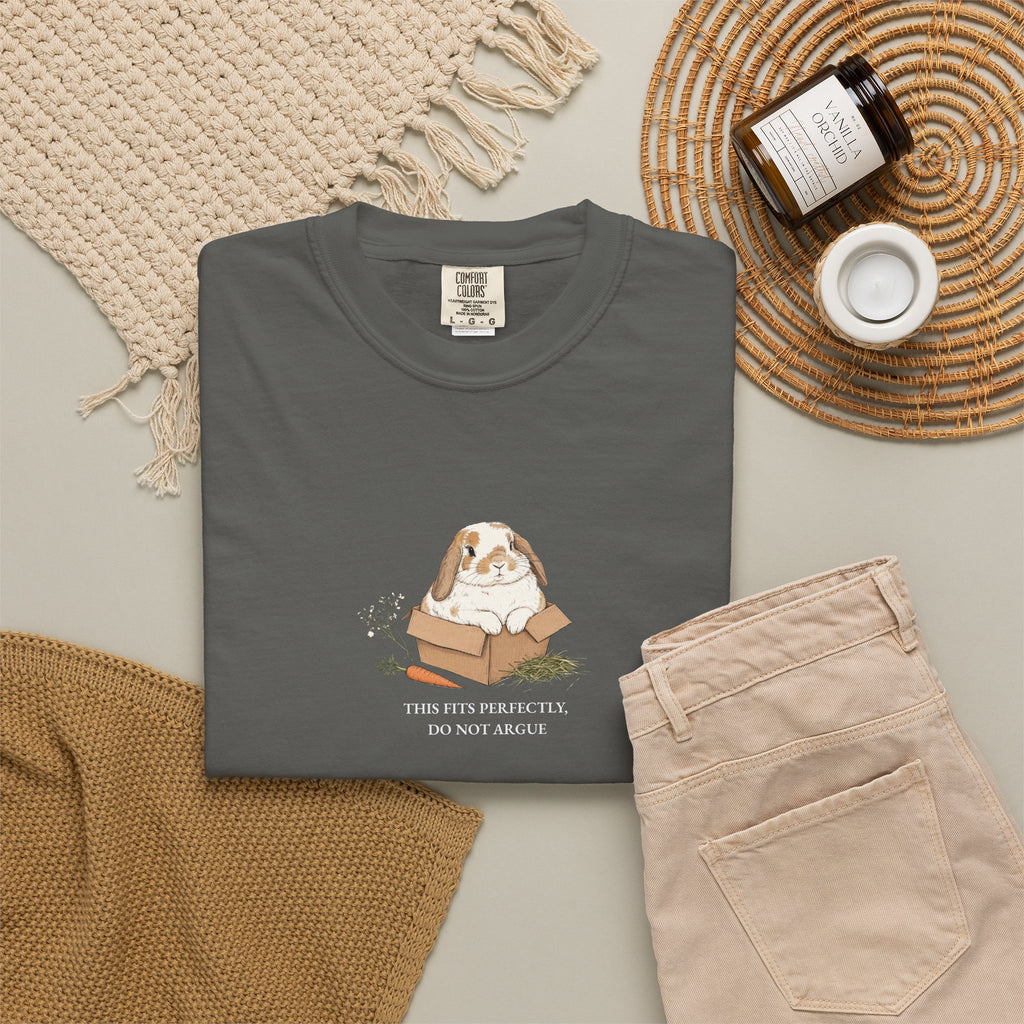 This Fits Perfectly, Do Not Argue - Comfort Tee