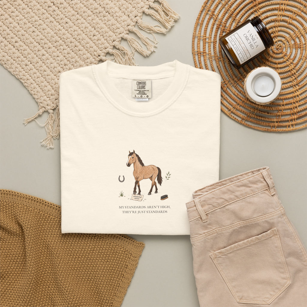 My Standards Aren't High, They're Just Standards - Comfort Tee
