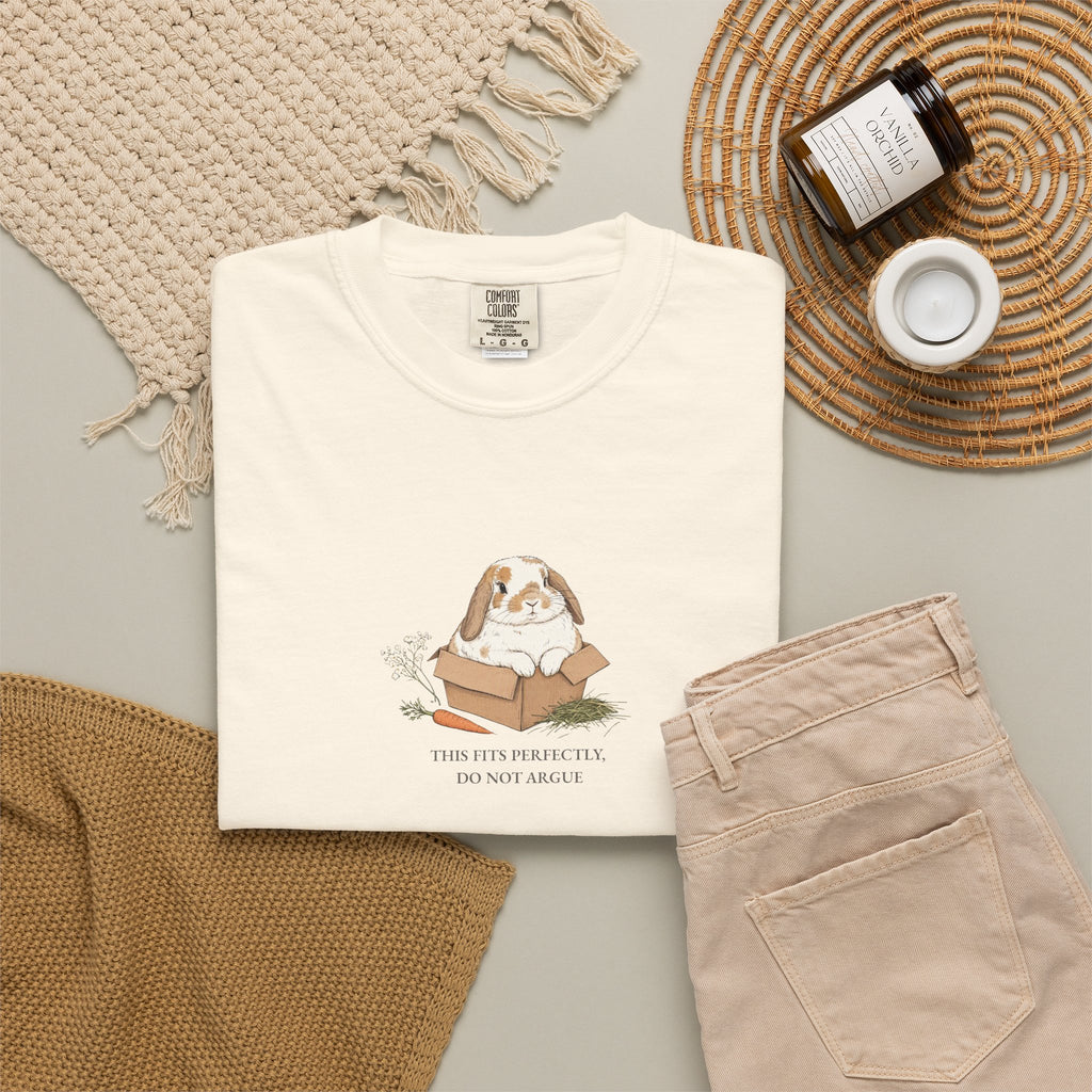 This Fits Perfectly, Do Not Argue - Comfort Tee