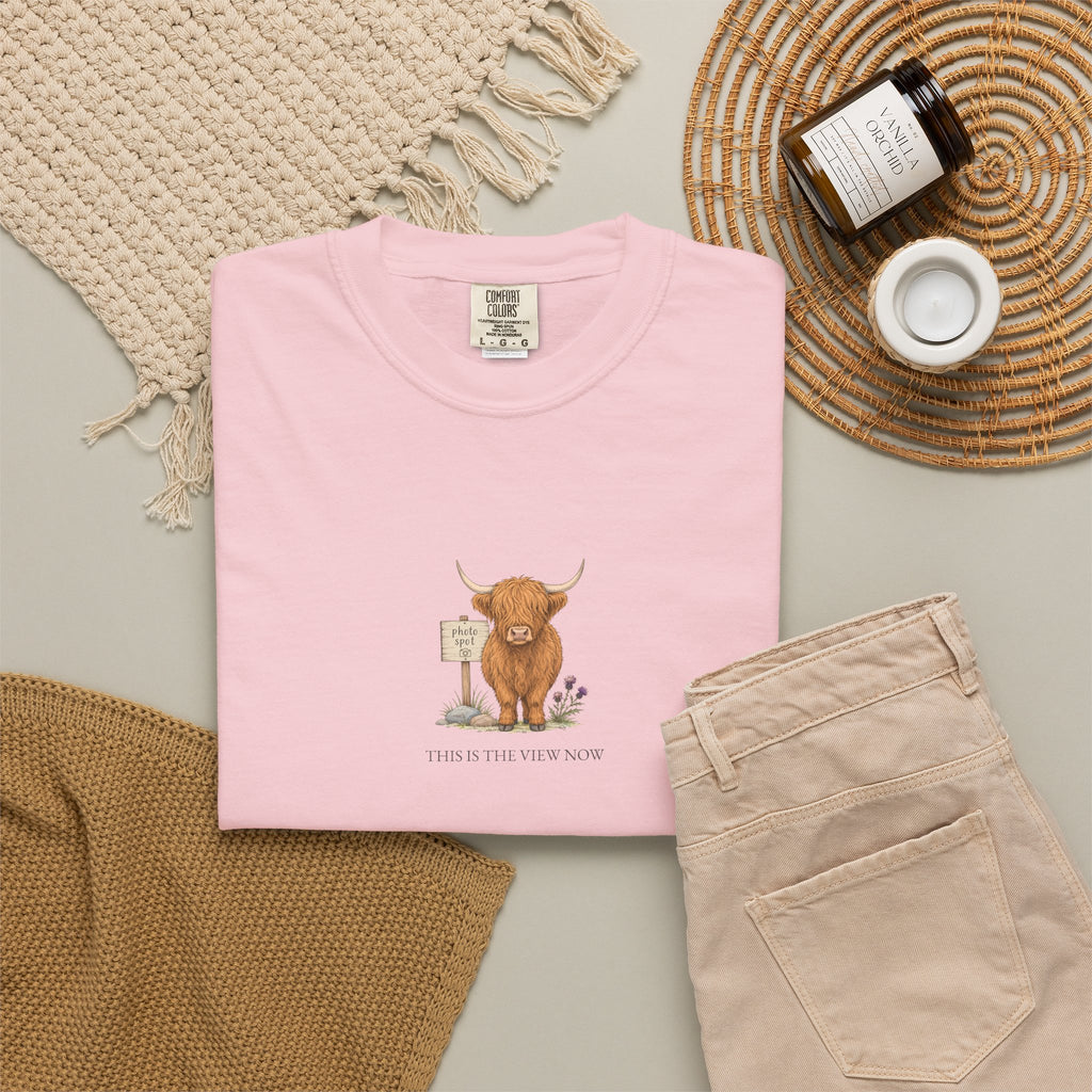 This Is The View Now - Comfort Tee