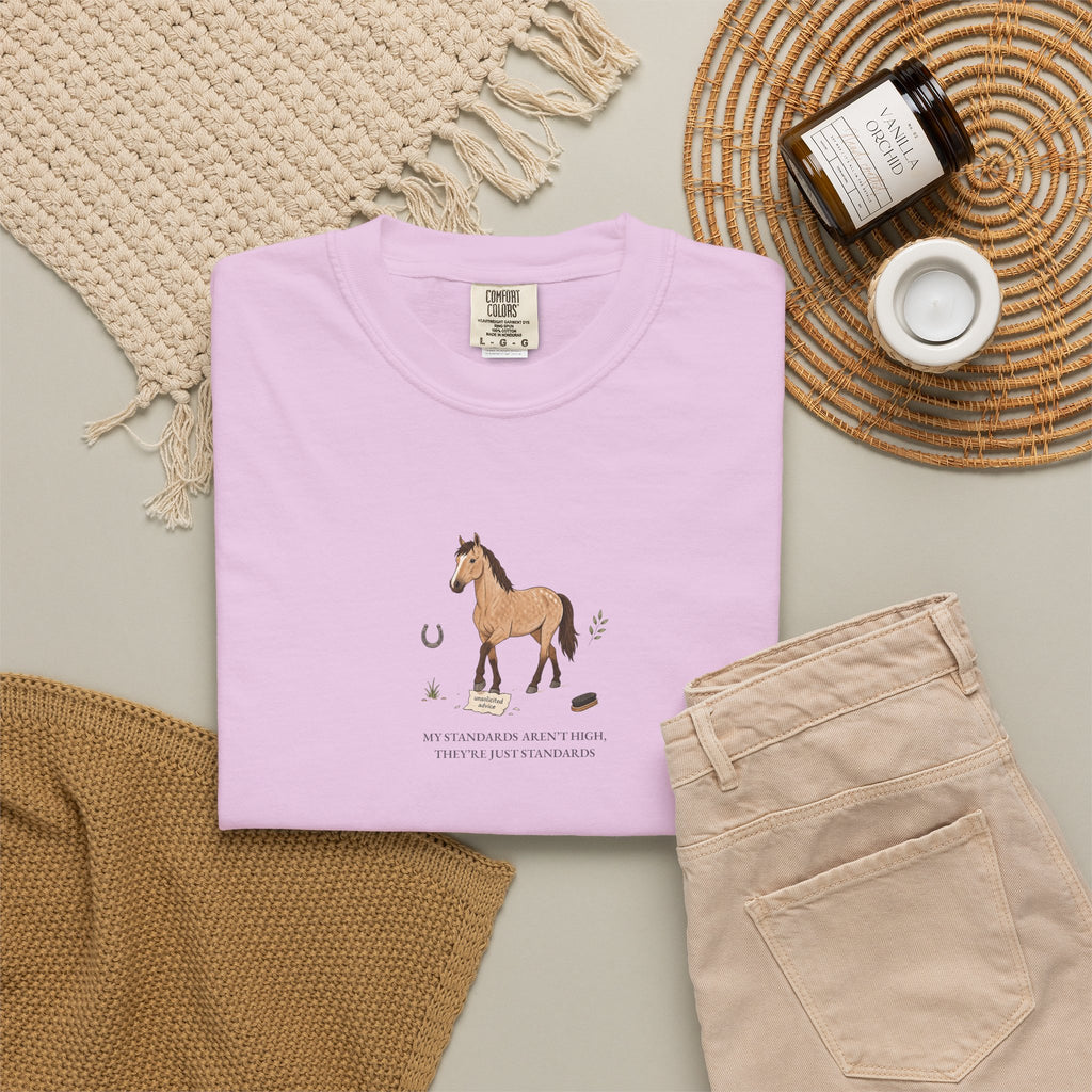 My Standards Aren't High, They're Just Standards - Comfort Tee